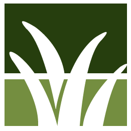 Palm Springs Lawn Clean Up