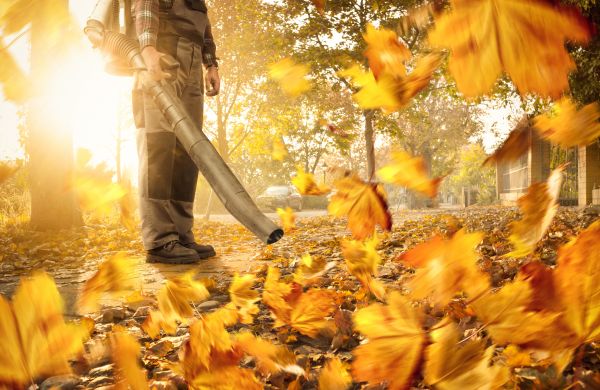 Leaf Blowing Service in Palm Springs