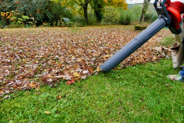 Leaf Vacuuming Service in Palm Springs
