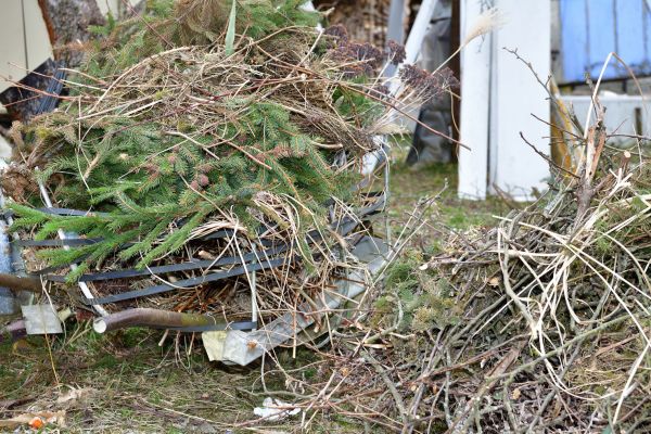 Yard Debris Removal in Palm Springs