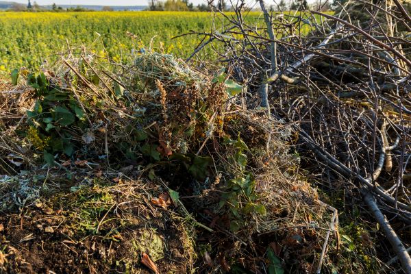 Brush Disposal in Palm Springs