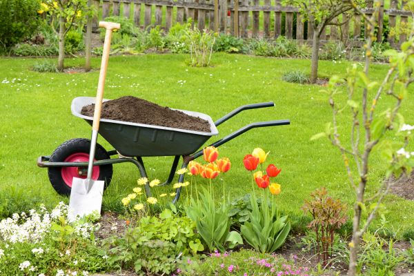 Cost of Spring Yard Cleanup in Palm Springs