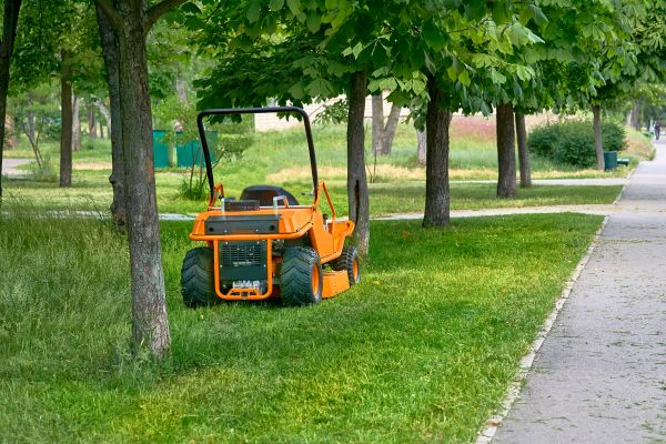 Landscaping Cleanup Service in Palm Springs