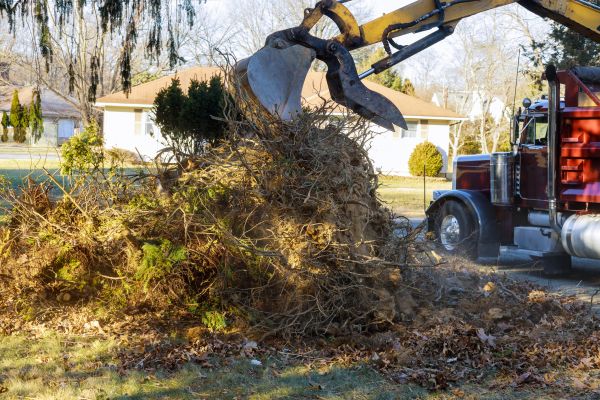 Storm Debris Removal in Palm Springs