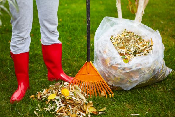 Cost of Leaf Disposal Service in Palm Springs