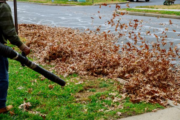 Cost of Garden Leaf Removal in Palm Springs