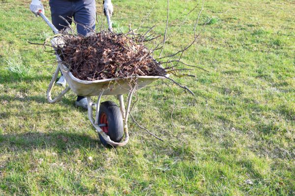 Yard Brush Removal in Palm Springs
