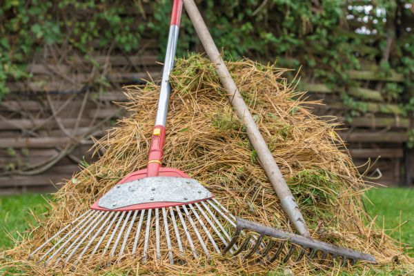 Cost of Pine Straw Clearing in Palm Springs