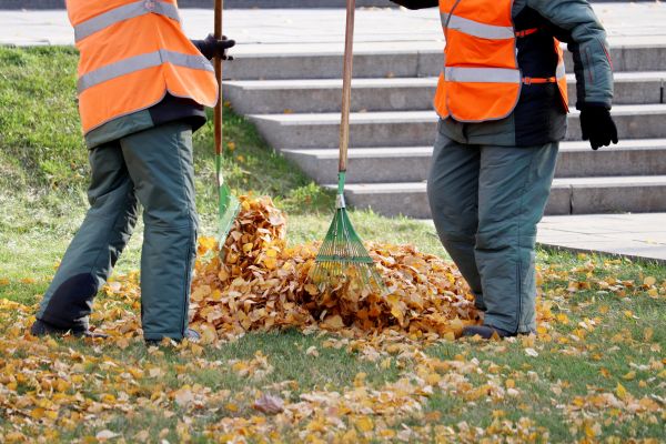 Cost of Leaf Hauling Service in Palm Springs