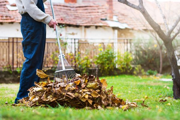 Spring Lawn Cleanup in Palm Springs