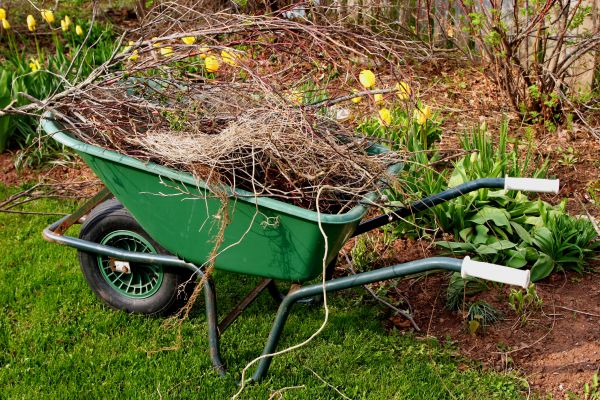 Lawn Waste Removal in Palm Springs