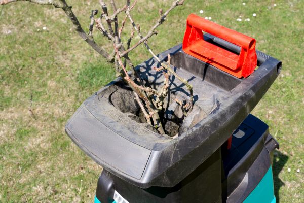 Cost of Brush Cleanup Service in Palm Springs