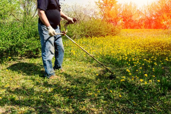 Yard Clearing Service in Palm Springs