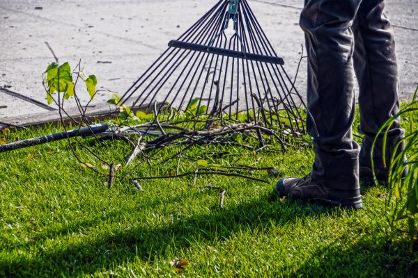 Yard Debris Cleanup in Palm Springs