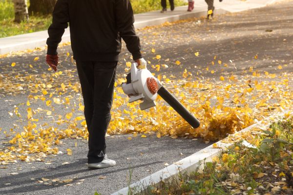 Commercial Leaf Removal in Palm Springs