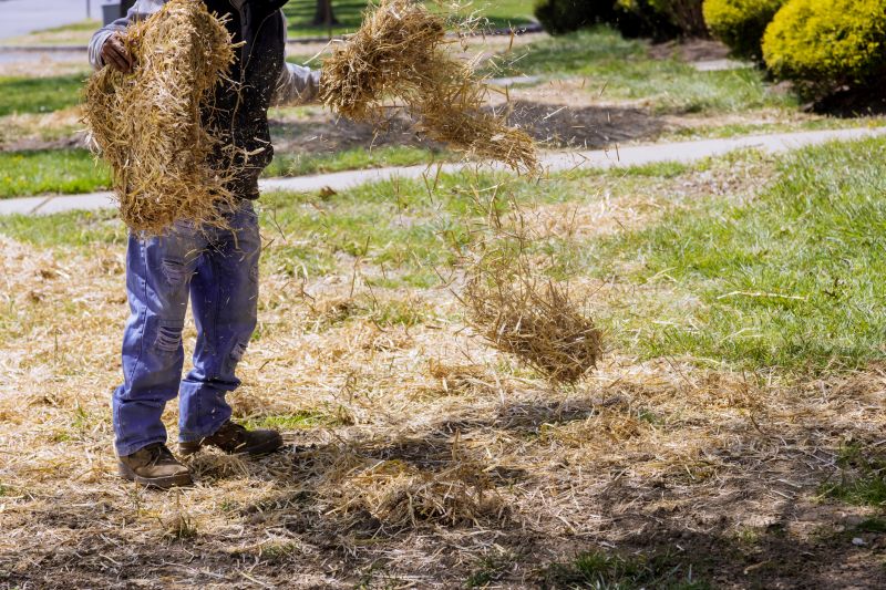 Pine Straw Clearing